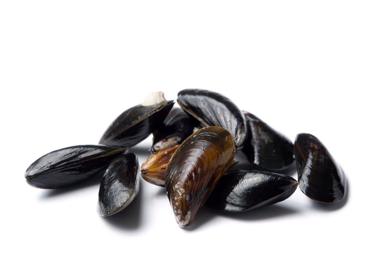 COZZE/MAŁŻE CHILIJSKIE CAŁE 40/60 1KG ALL FISH
