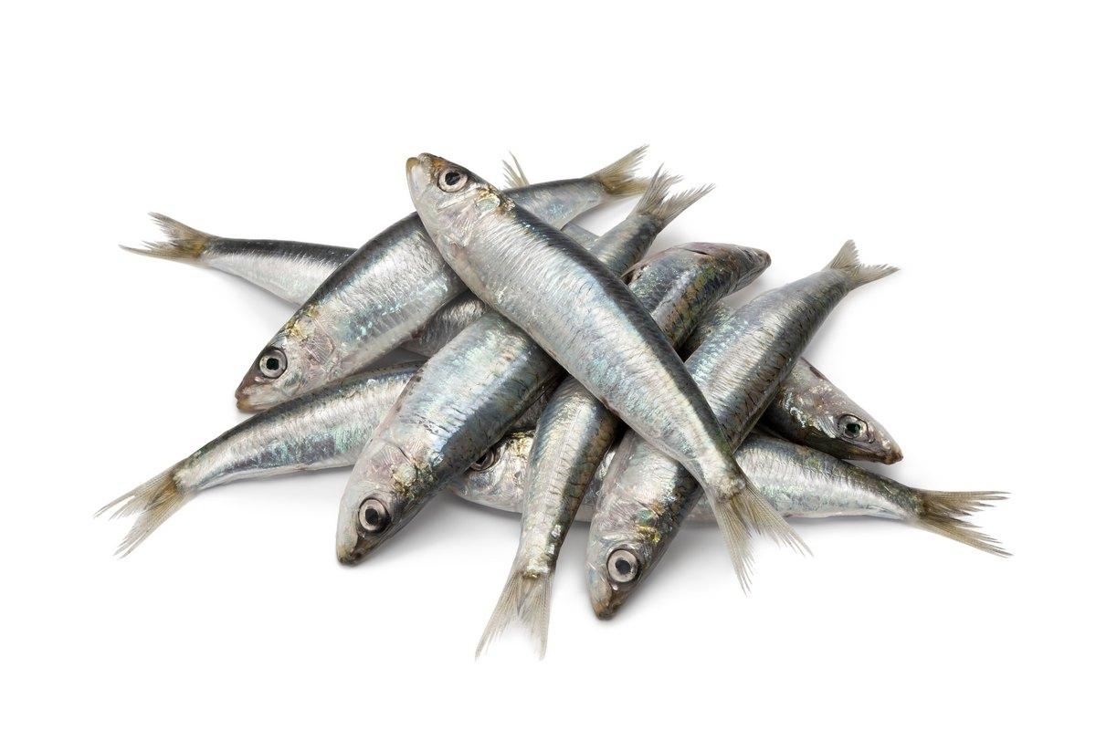 ATERYNA/ LATTERINO MROŻONA 1KG GELPIAVE