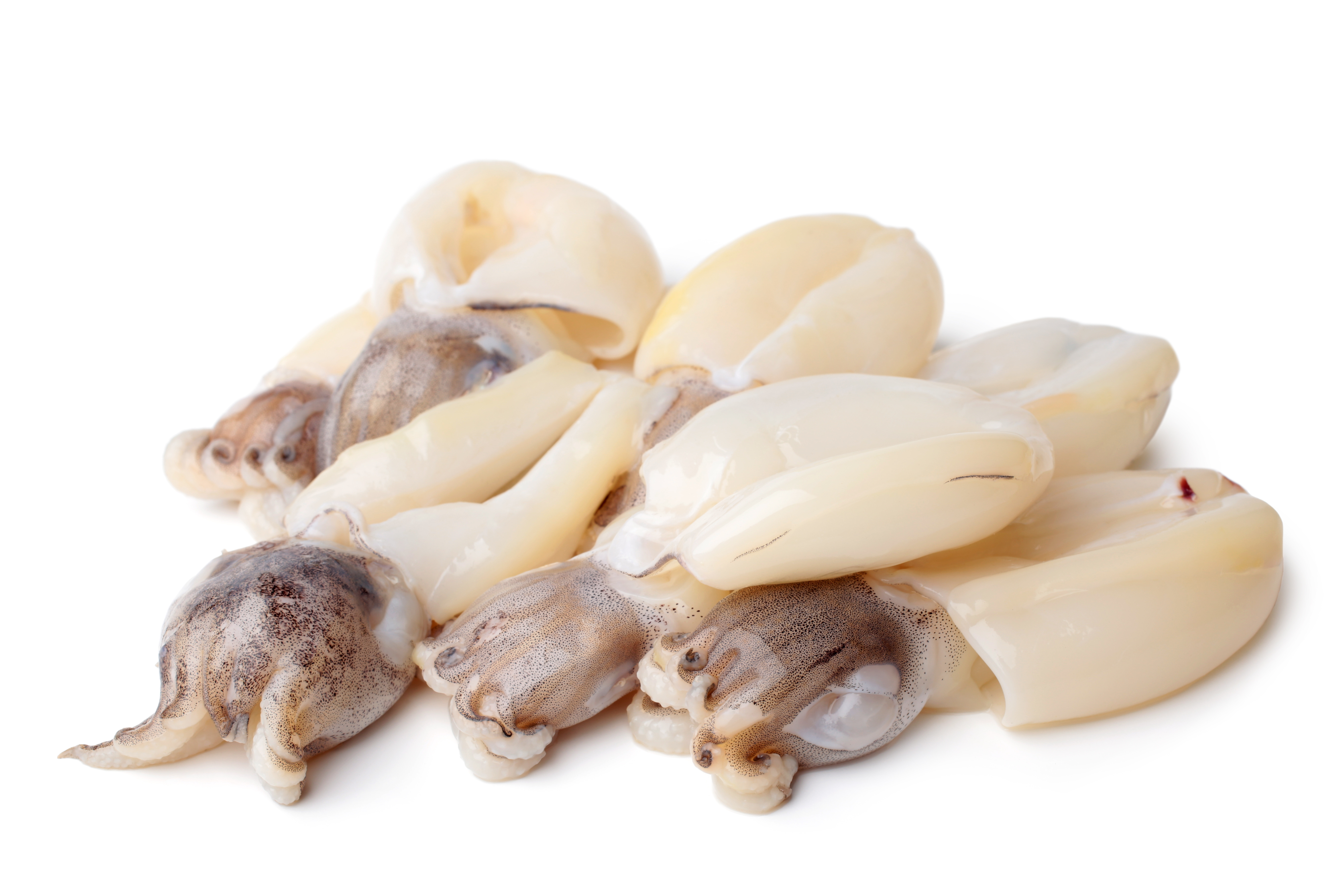 MĄTWA 13/20 OCZYSZCZONA 800G /1KG 10/BOX GELPIAVE